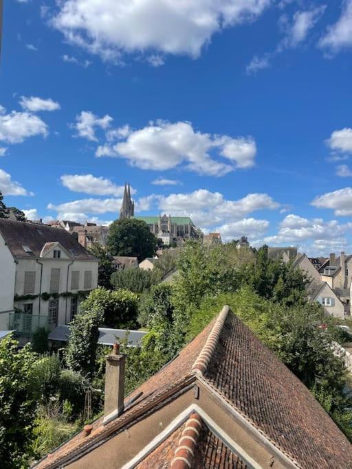 Апартаменты Duplex Bord De L'Eure - Parking Inclus - Jolie Vue Sur La Cathedrale Шартр Экстерьер фото